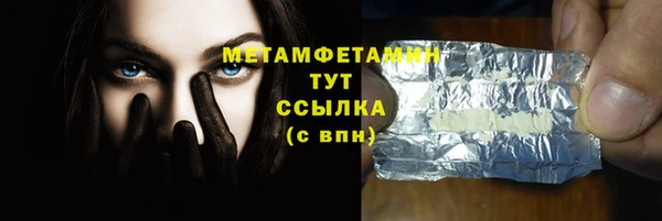прущие грибы Новозыбков