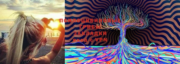 не бодяженный Абинск