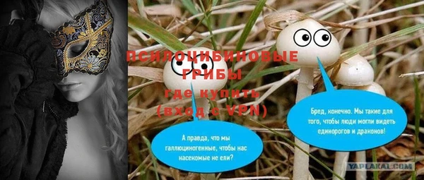 ГАЛЛЮЦИНОГЕННЫЕ ГРИБЫ Новодвинск