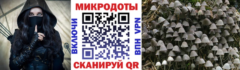 где найти   Шебекино  ОМГ ОМГ ССЫЛКА  Галлюциногенные грибы Magic Shrooms 